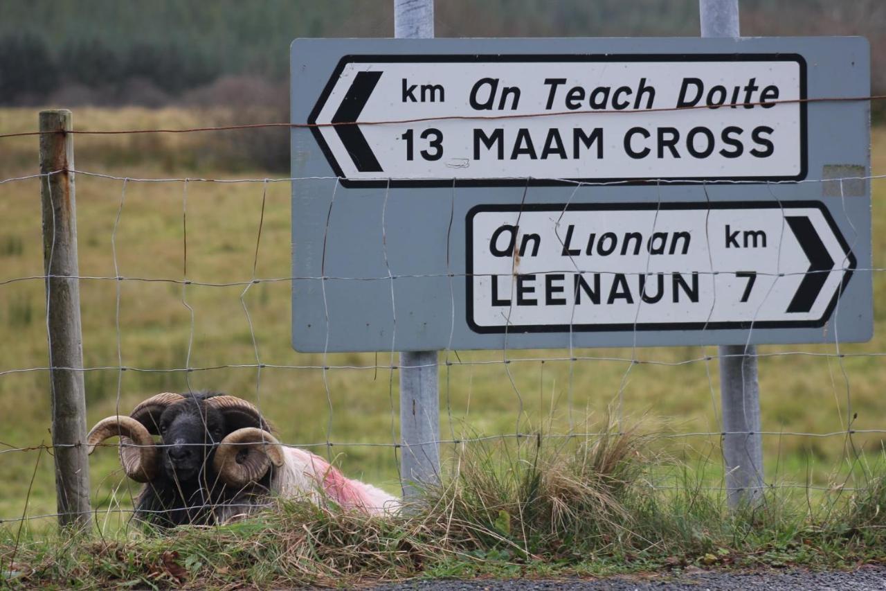 Clifden Bay Lodge Luaran gambar